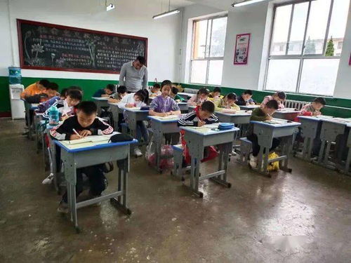 合阳县教育局 课后服务提质增效，助力学生成长、家长安心